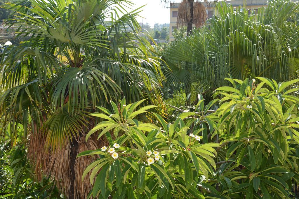 B&B Villa Maria Giarre Ngoại thất bức ảnh